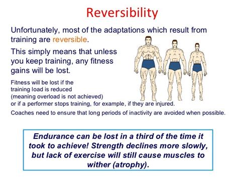 what is reversibility in fitness|Reversibility – Introduction to Exercise Science for Fitness .